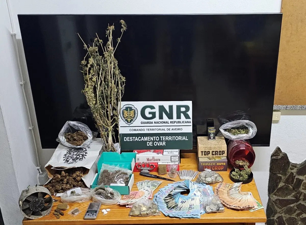 Material apreendido pela GNR nas buscas