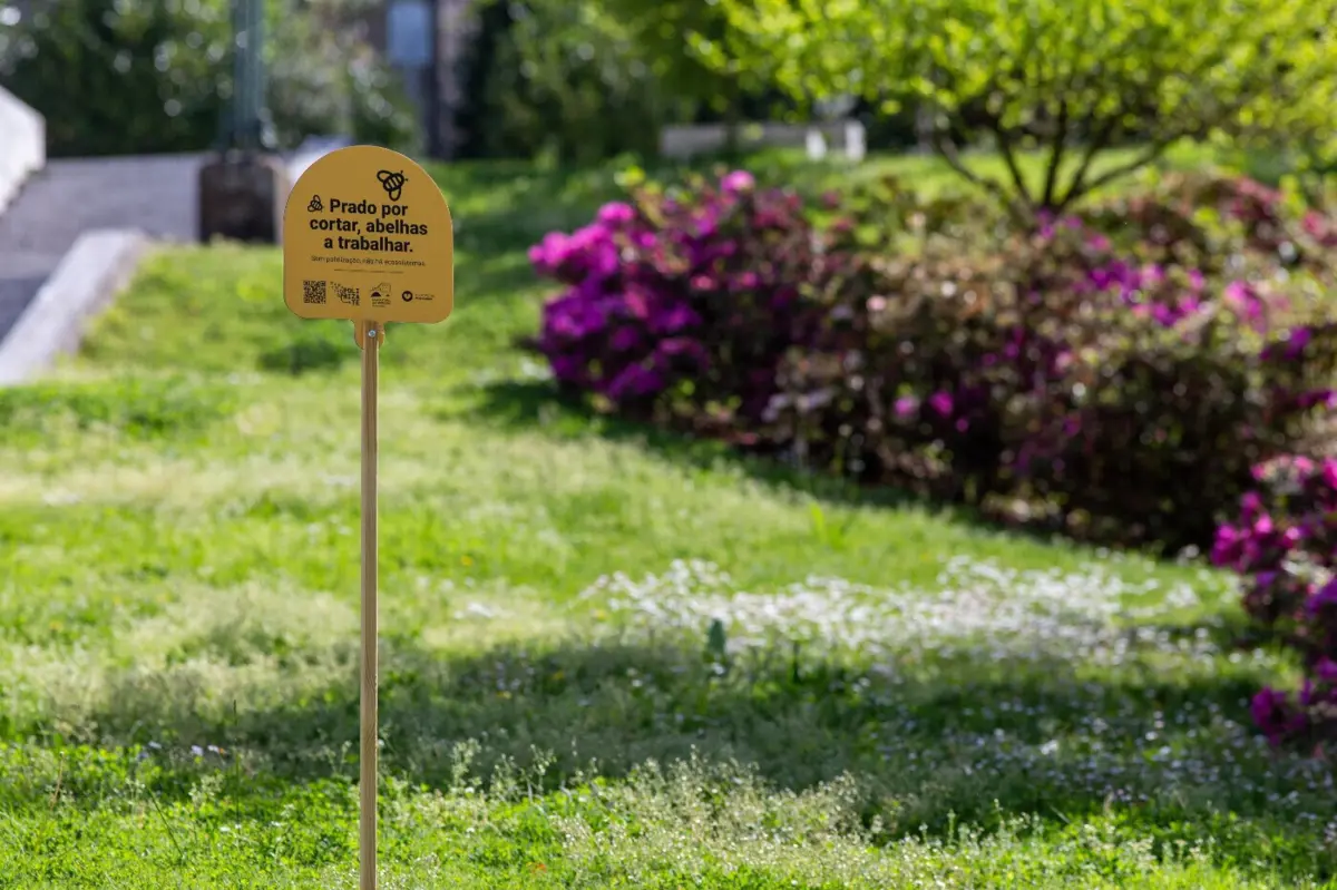 Imagem de contexto do artigo Guimarães suspende corte da vegetação para proteger abelhas