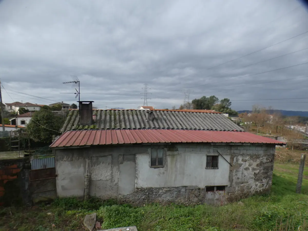 Mulher vivia com os seus cães numa habitação precária