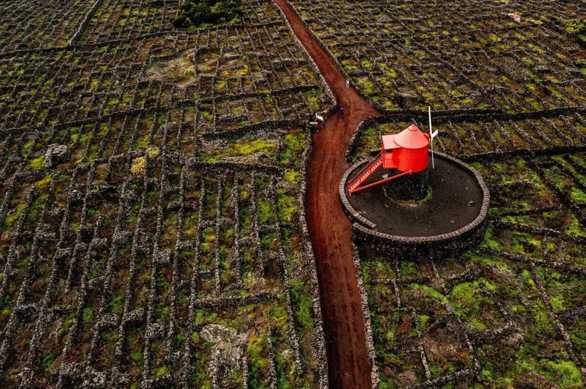 Os Açores são um dos muitos destinos a explorar cá dentro, em Portugal