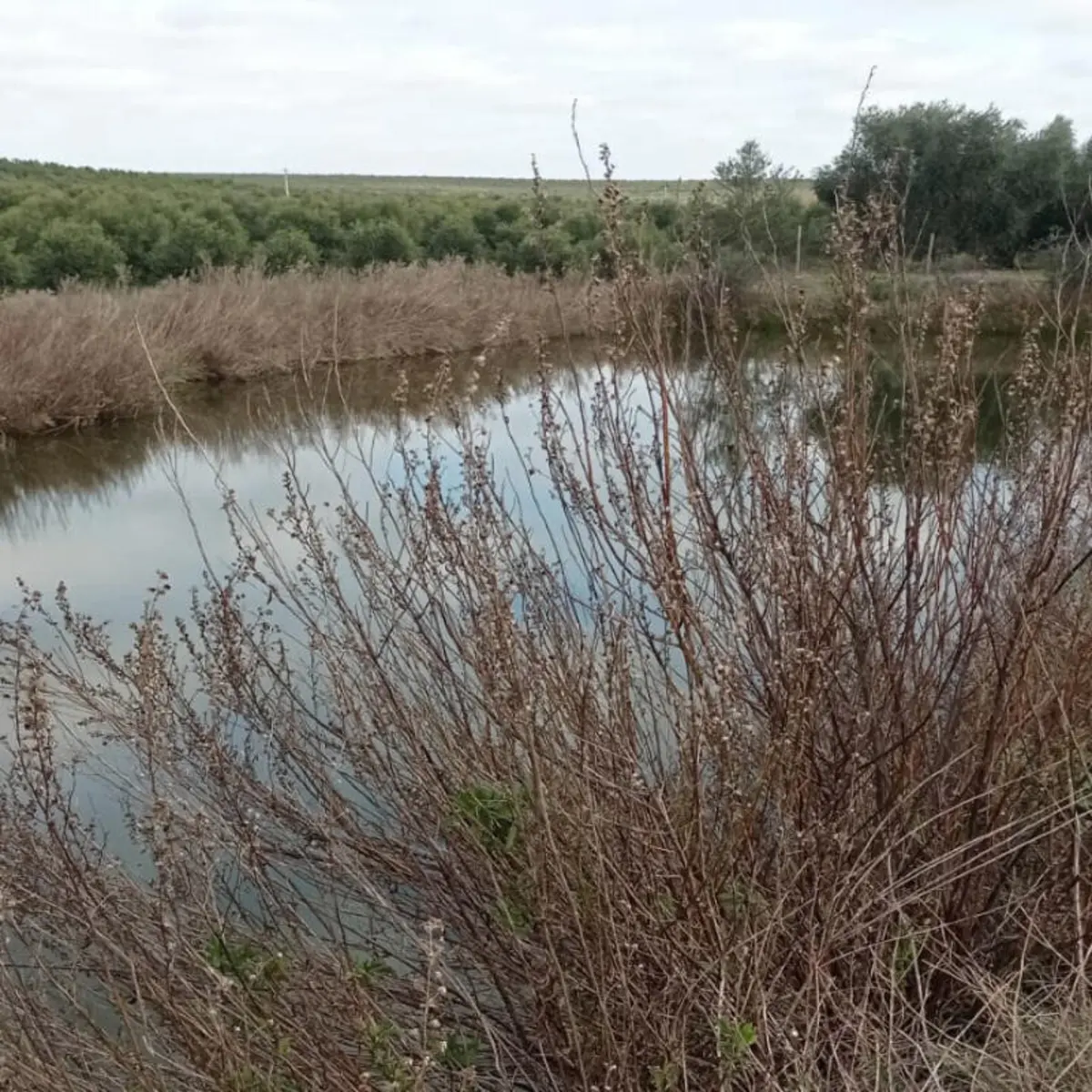 Autoridades realizaram buscas numa charca de Baleizão, mas sem sucesso