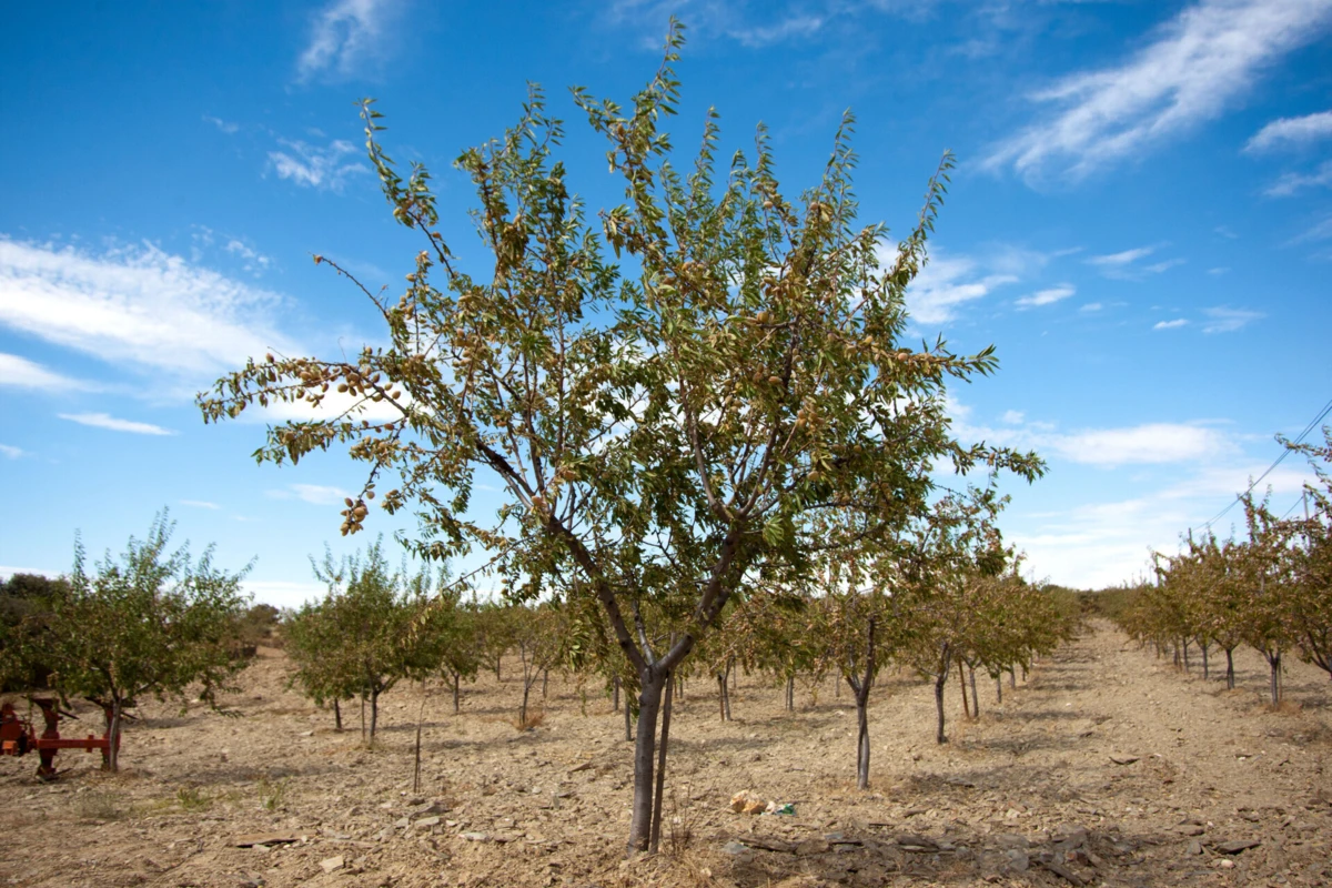Projeto abrange um consórcio de 16 entidades de quatro países