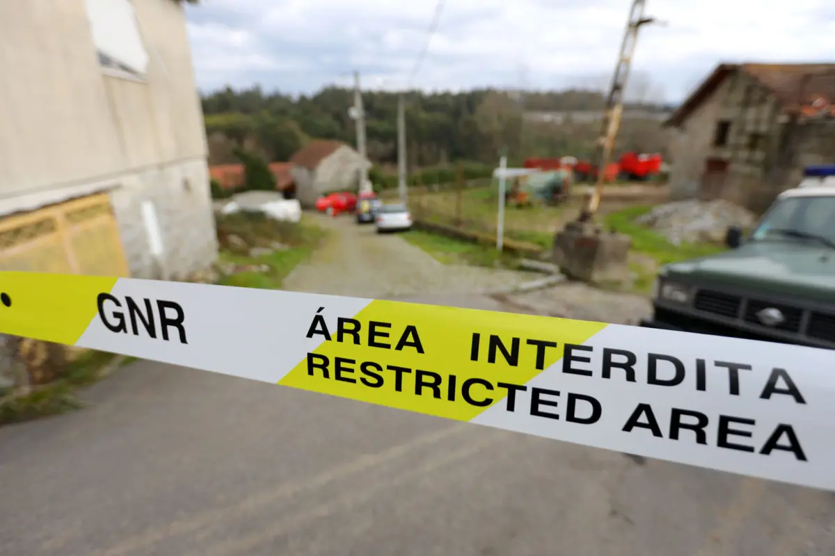 Imagem de contexto do artigo Equipas com cães e drones procuram idoso desaparecido em Monchique