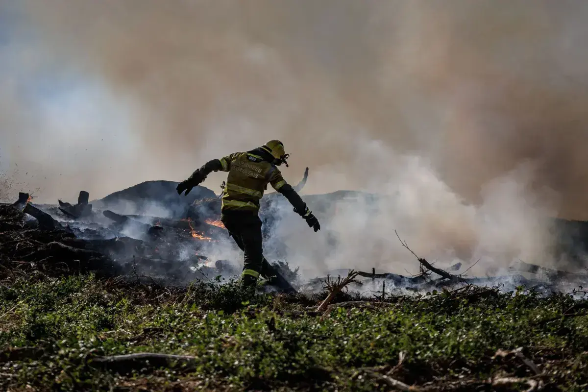 Signatários reconhecem que os incêndios são uma das manifestações mais dramáticas das alterações climáticas