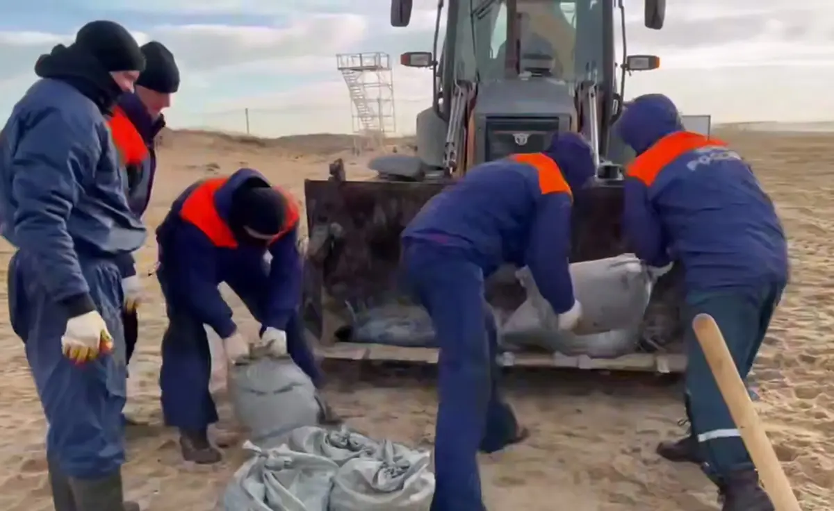 Imagem de contexto do artigo Rússia relata situação "crítica" após derrame de petróleo no Mar Negro