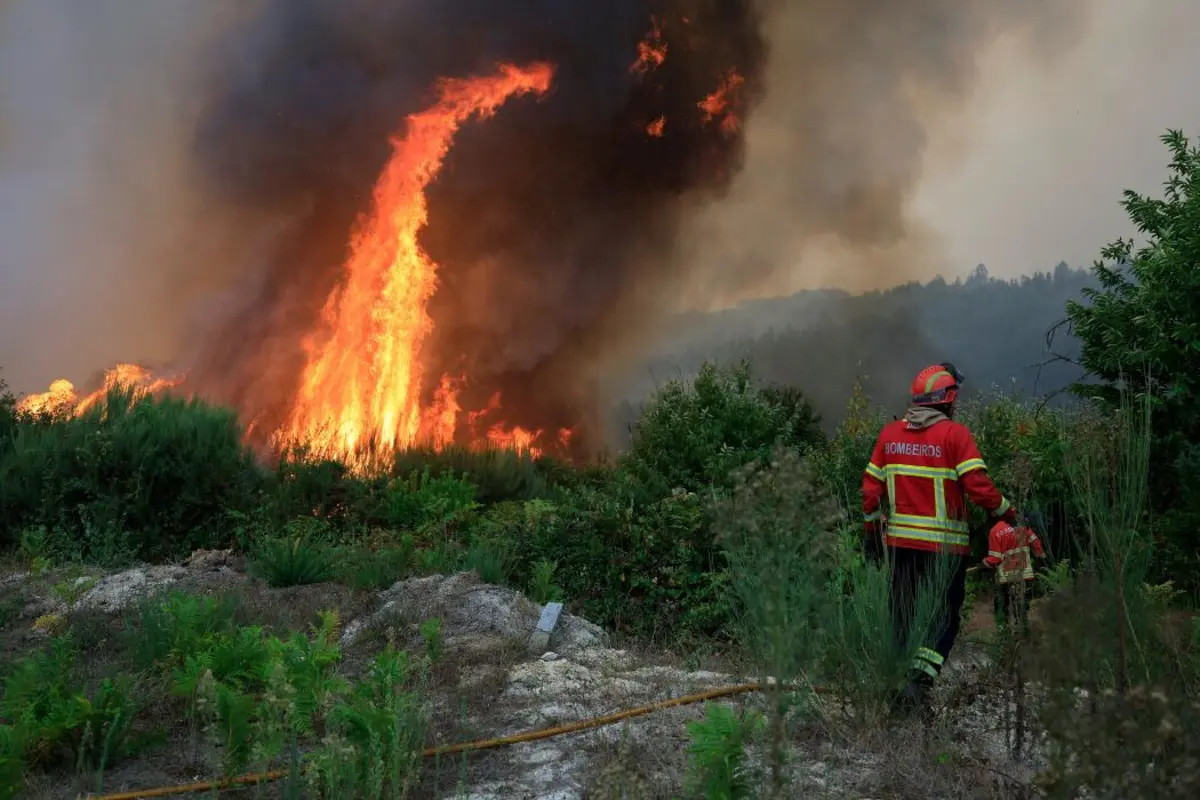Incêndios de setembro deixaram 135 mil hectares de área ardida