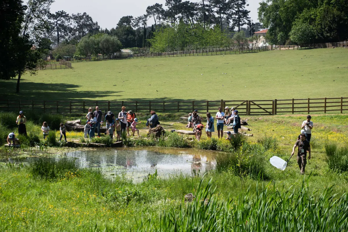 Bioblitz volta ao Parque de Serralves