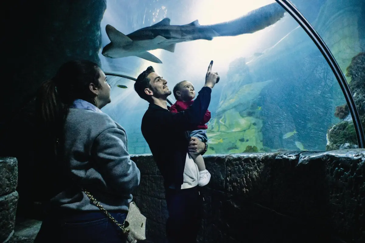 Sea Life Porto recebe muitas famílias