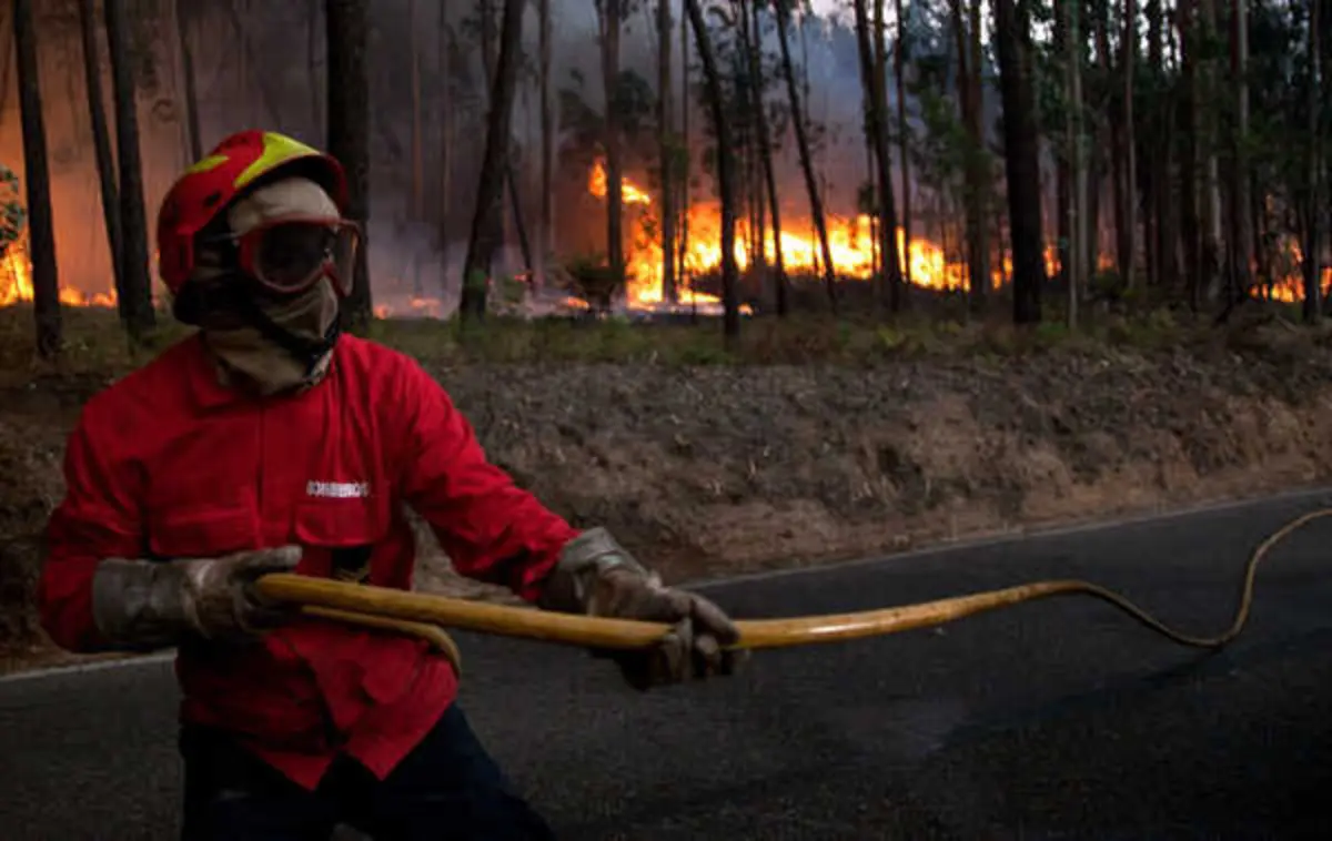 O alerta para o fogo foi dado às 16.39 de sexta-feira