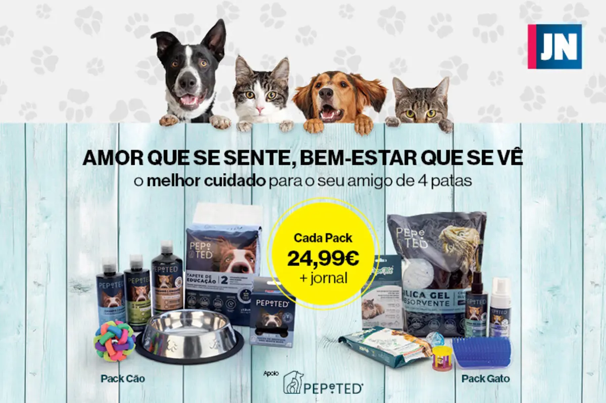 Imagem de contexto do artigo Mais mimo, mais notícias: packs JN com produtos para o seu cão ou gato