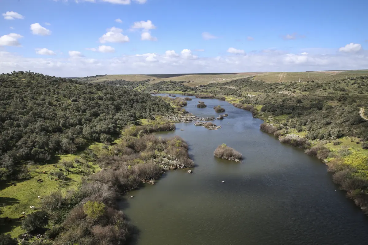 Primeira reserva natural de Portugal foi classificada há 50 anos
