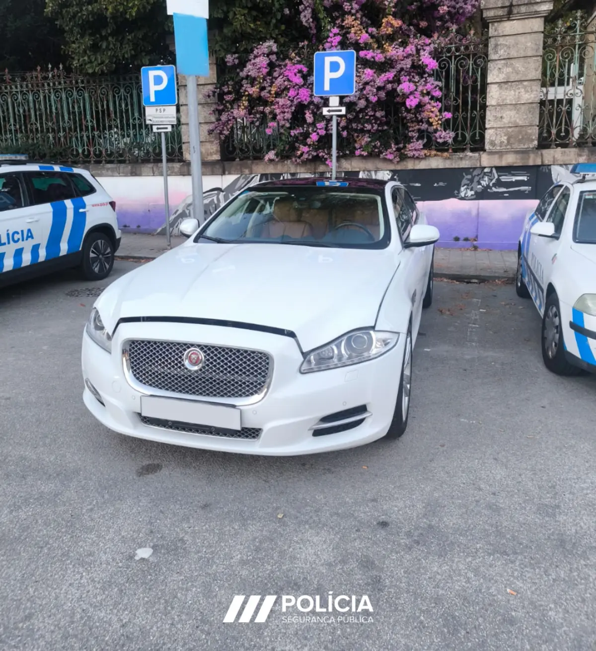 Jaguar foi apreendido por circular com matrículas falsas