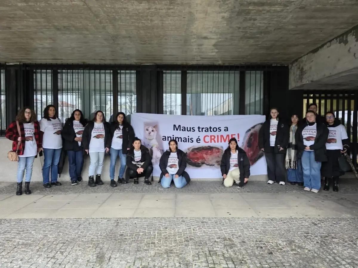 Manifestantes realizaram um protesto simbólico no início do processo judicial da gata Ariel