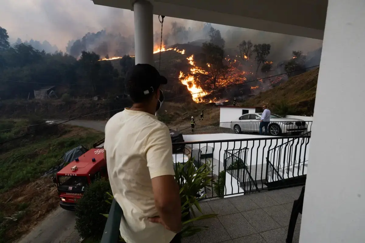 Arderam mais de 56 mil hectares de pinhal este ano