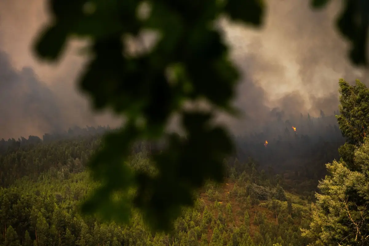 Portugal ativou o Mecanismo Europeu de Proteção Civil