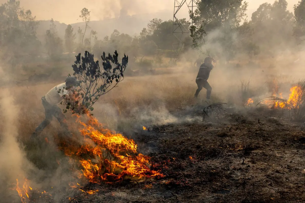 Em Alvre, os populares ajudaram como puderam a apagar as chamas