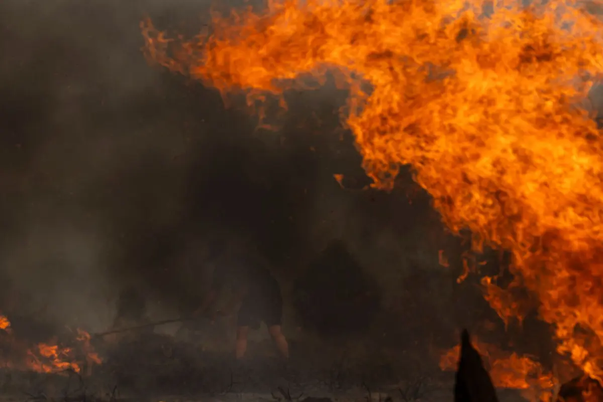 Judiciária deteve homem, suspeito de atear fogo numa mancha florestal, em Chaves