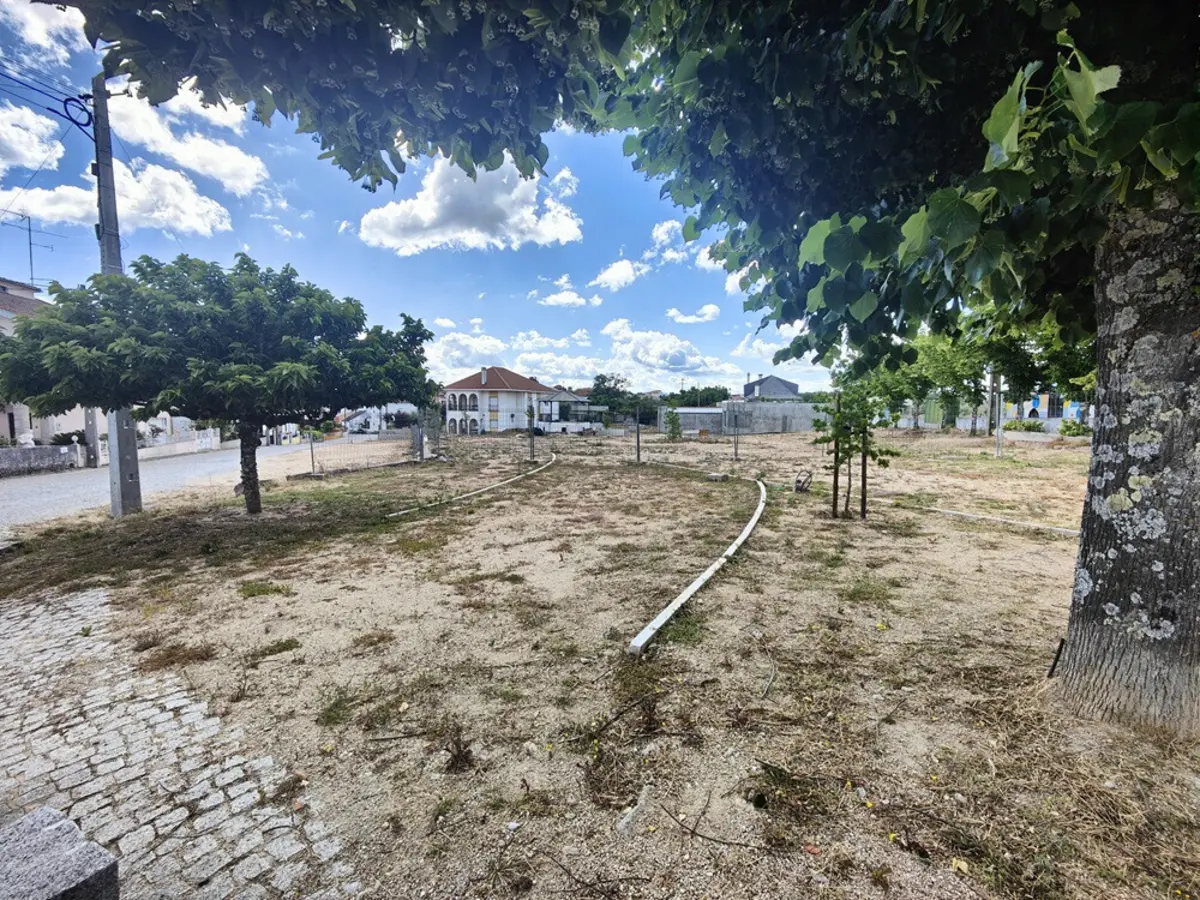 Empresa que estava a fazer obra no Largo da Filarmónica faliu em 2023