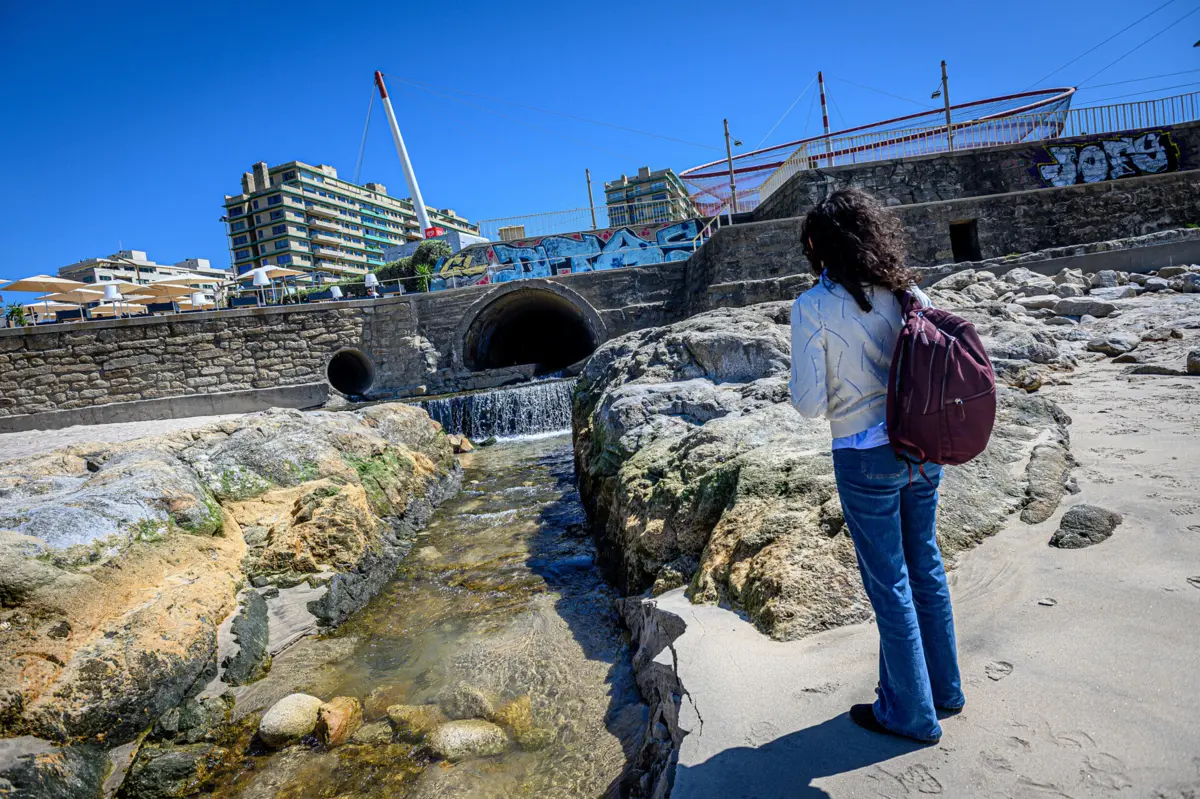 Câmara alega que tem "plano estratégico em curso"