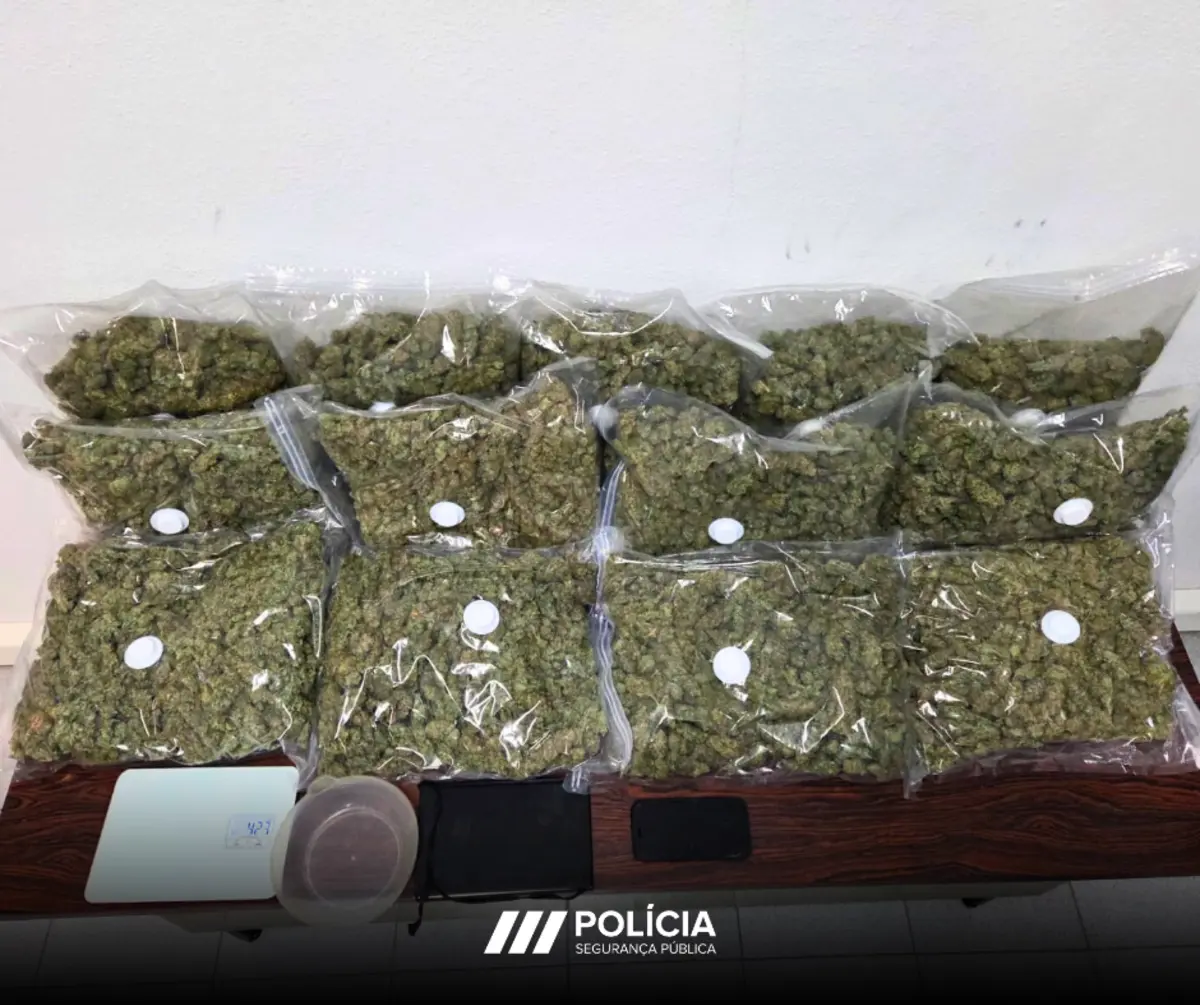 PSP apreendeu quase 14 quilos de liamba, no Montijo