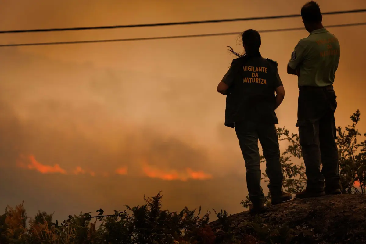 Os guardas apuraram que o incêndio tinha sido provocado por chama direta, através da utilização de um isqueiro