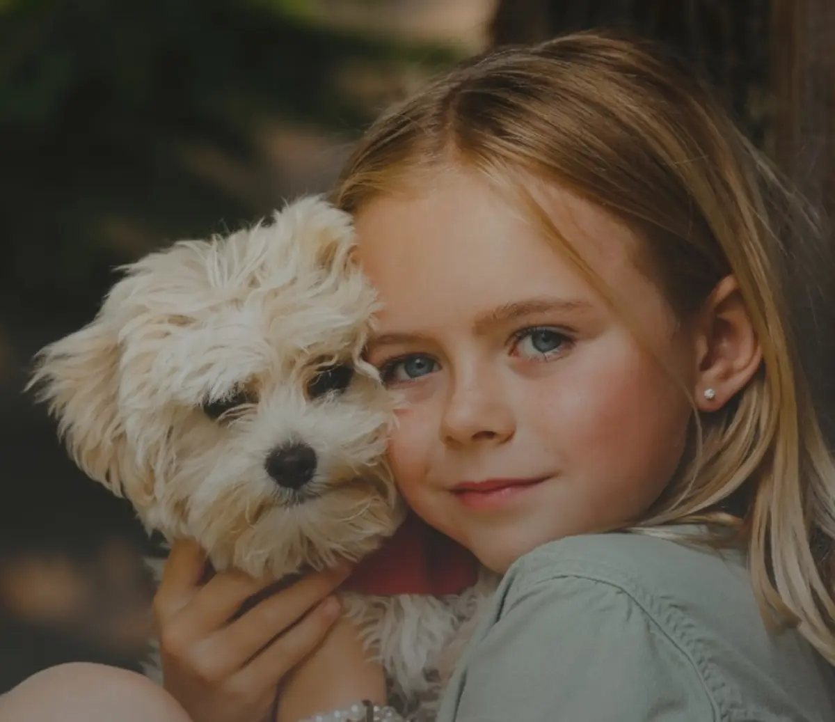 Dia Mundial do Animal é comemorado em 4 de outubro