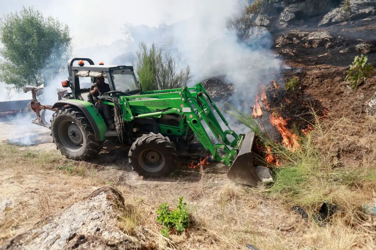 Portugal continental tem sido afetado por múltiplos incêndios rurais desde julho