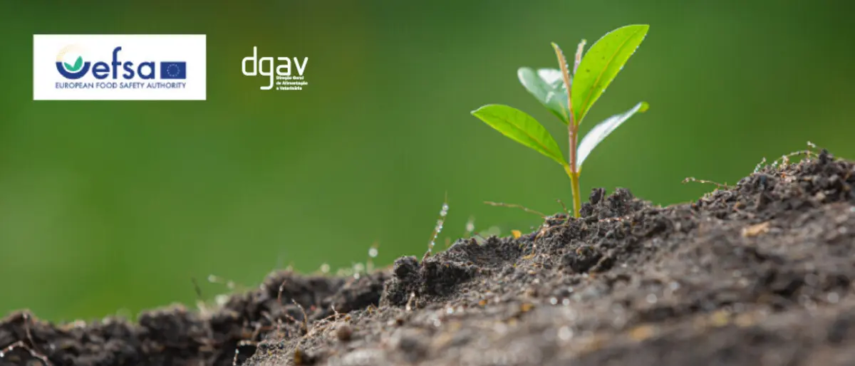 Imagem de contexto do artigo #PlantHealth4Life: proteja a saúde das plantas