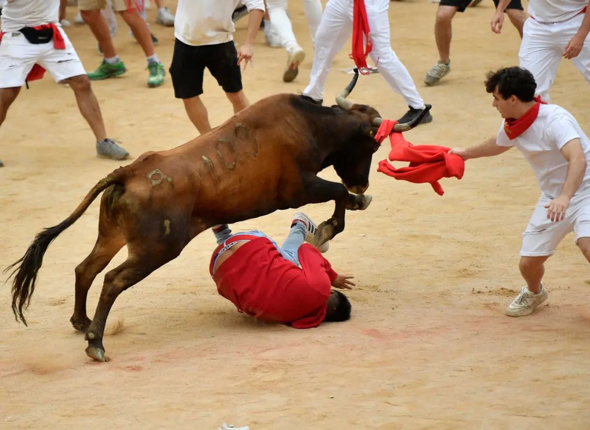 Imagem de contexto do artigo Sete feridos, quedas e touros no encerramento das festas de San Fermín