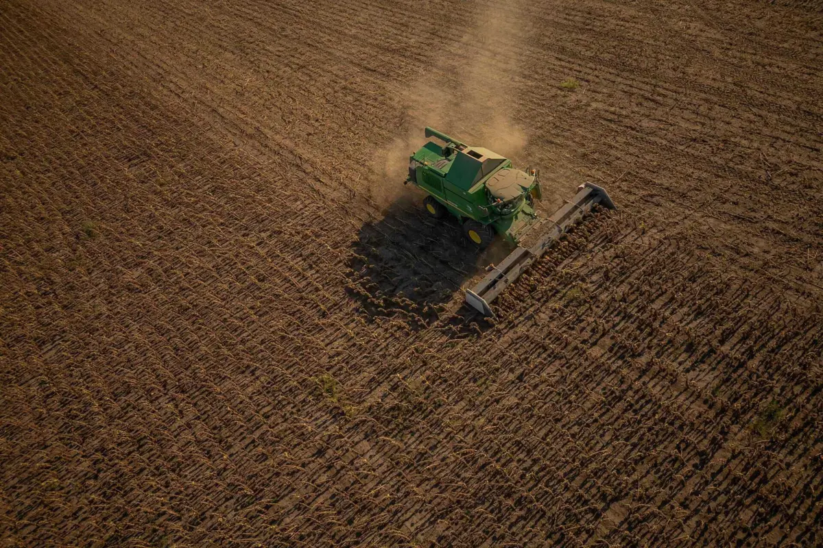 Campo de sementes de girassol em Kryvyi Rig, Ucrânia