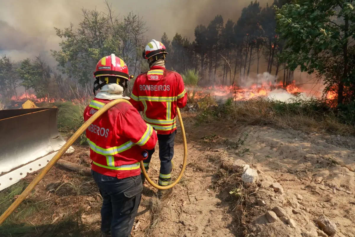 Mandatário do Chega defendia bombeiros contra Marques Mendes e agora foi detido por incêndio