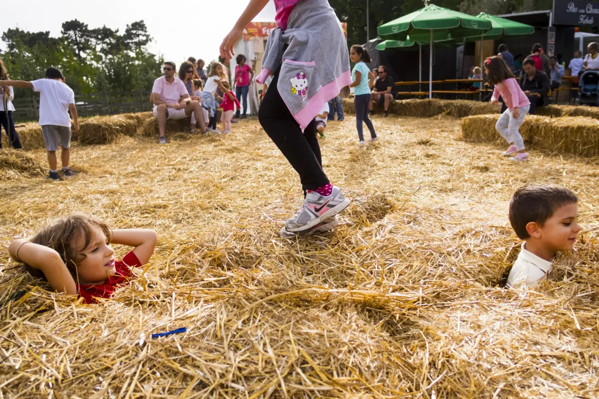 Festa do Outono é um dos grandes eventos da agenda