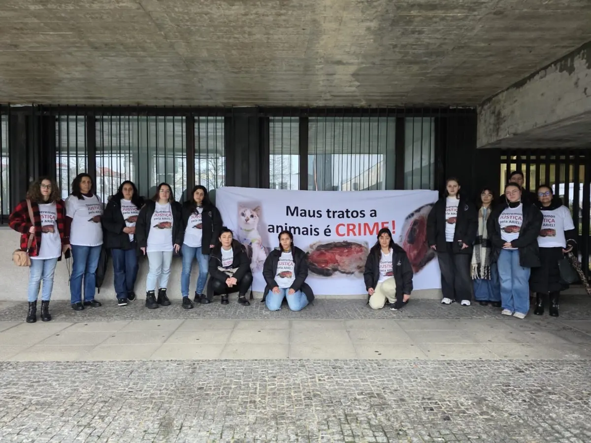 Os manifestantes realizaram um protesto simbólico que coincidiu com o início do processo judicial da gata Ariel