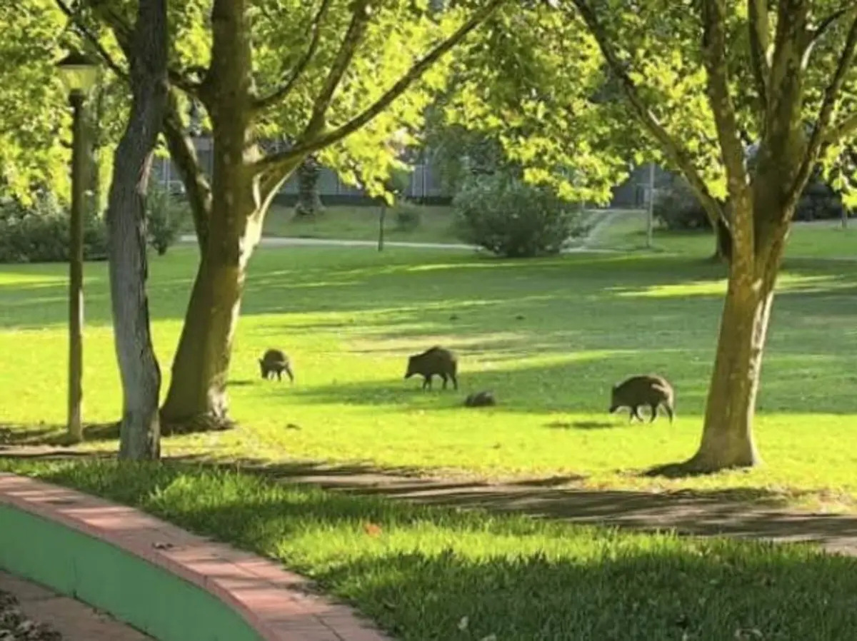 Foto publicada pelo presidente da Câmara, André Martins, nas redes sociais