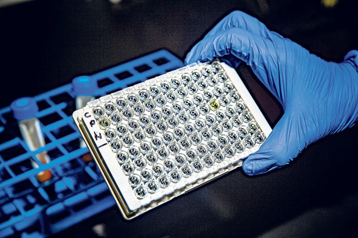 Imagem de contexto do artigo Estudo liderado por investigadora portuguesa revela como sistema imunitário identifica células tumorais