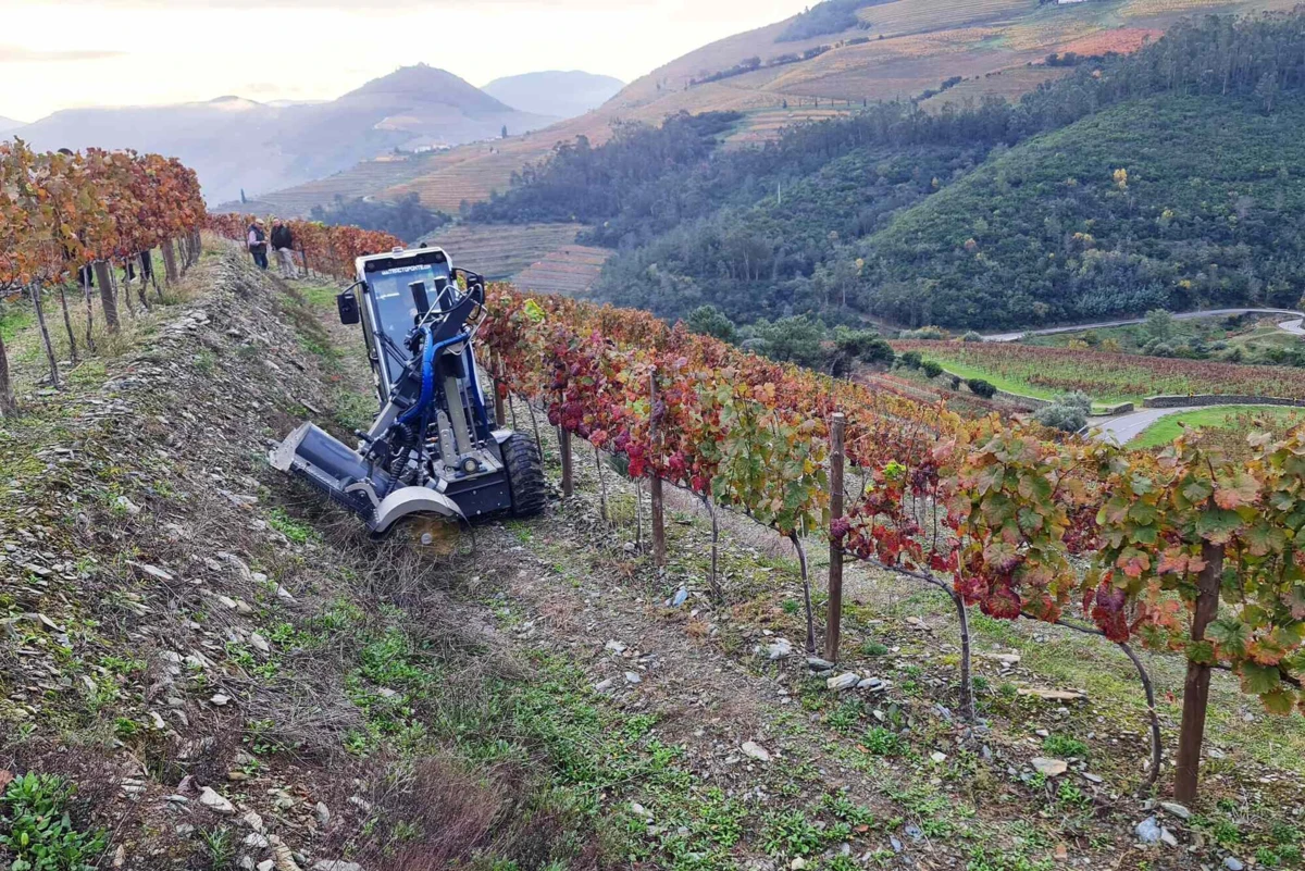 Viroc mostrou-se na Quinta do Junco, em Sabrosa