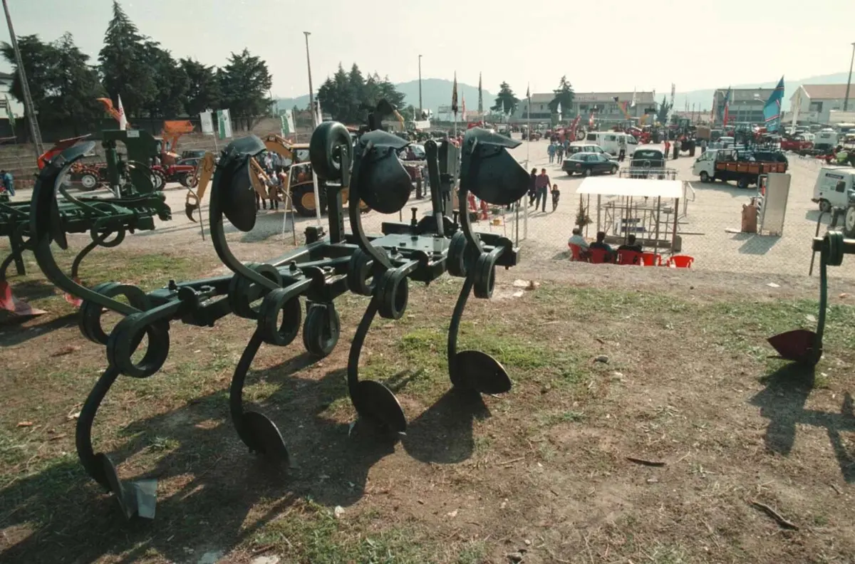 Feira dos Gorazes decorre até domingo