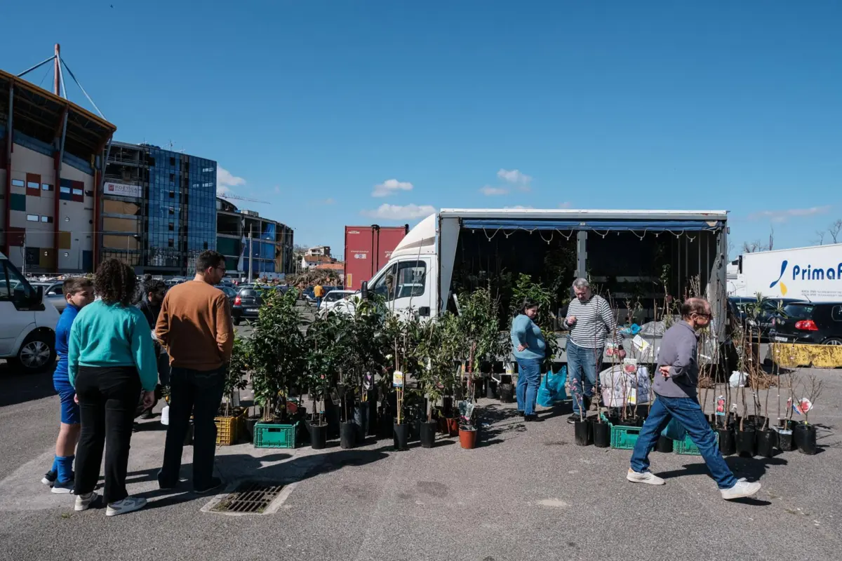 Imagem de contexto do artigo Na reabertura da feira de Leiria, as árvores "voaram" e as molas esgotaram