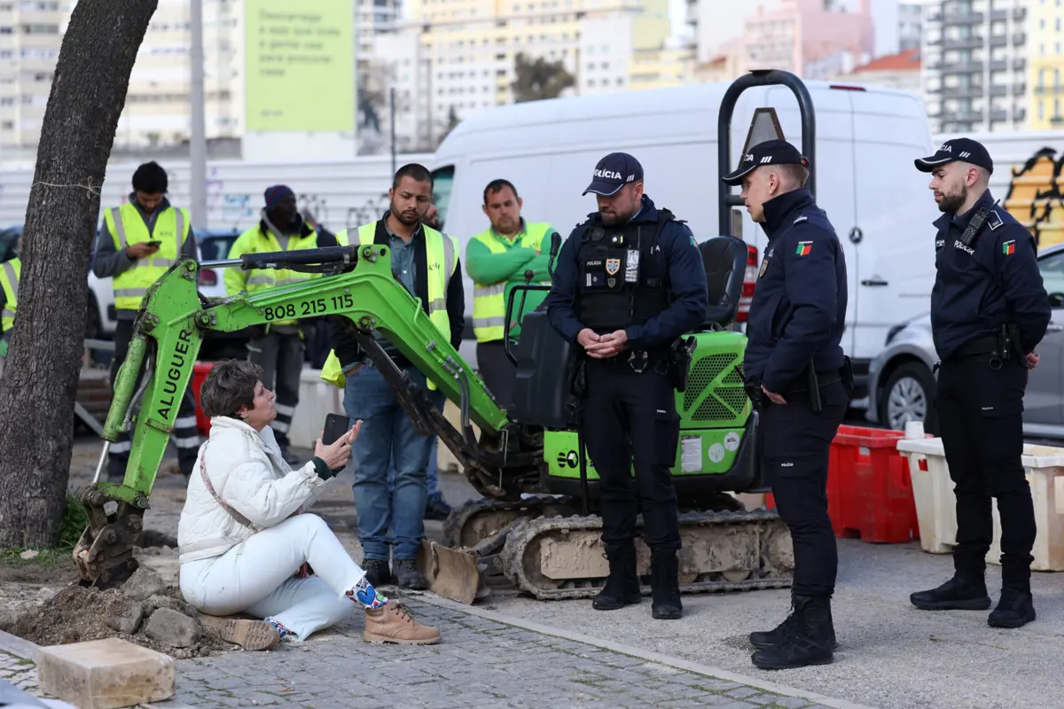 A Câmara de Lisboa começou, esta sexta-feira, a plantar novas árvores. Um dia depois de ter iniciado o transplante de jacarandás.