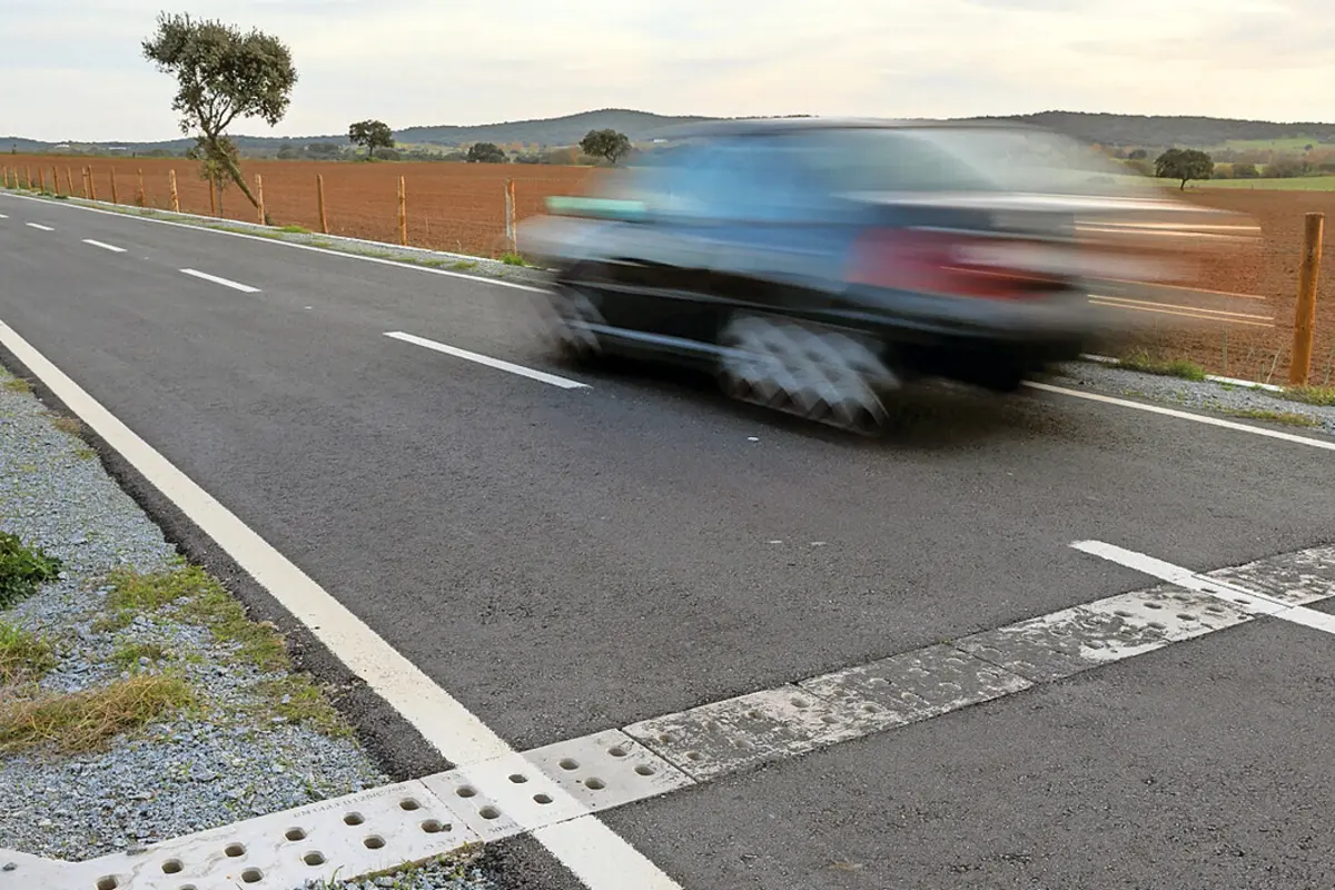 Acidentes com animais nas estradas não param de aumentar
