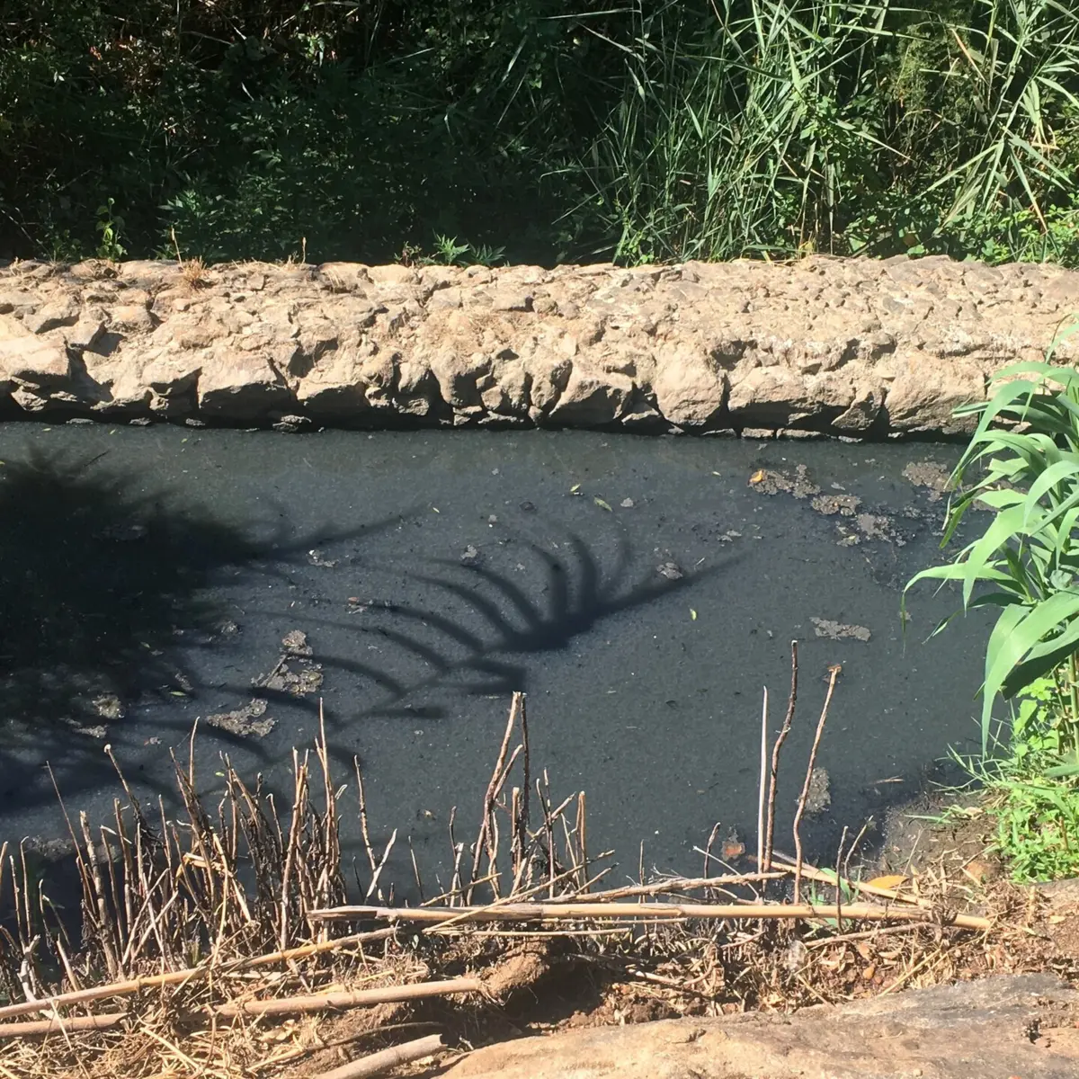 O rio chegou a ficar com "uma maré negra"