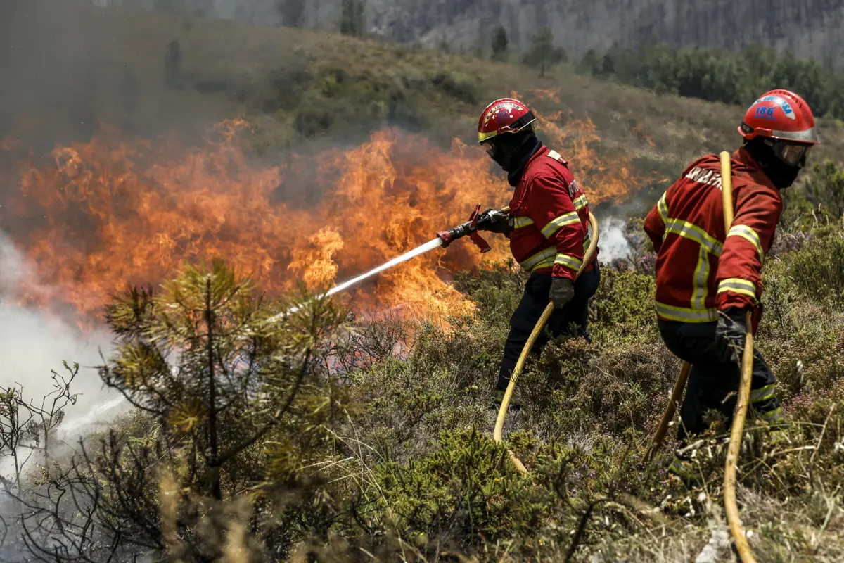 Suspeita ateou os incêndios numa zona com uma vasta mancha florestal