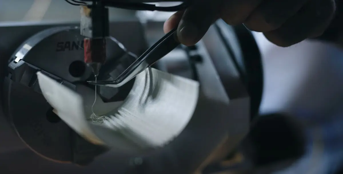 Imagem de contexto do artigo Fungos podem ajudar aviões a reparar-se sozinhos