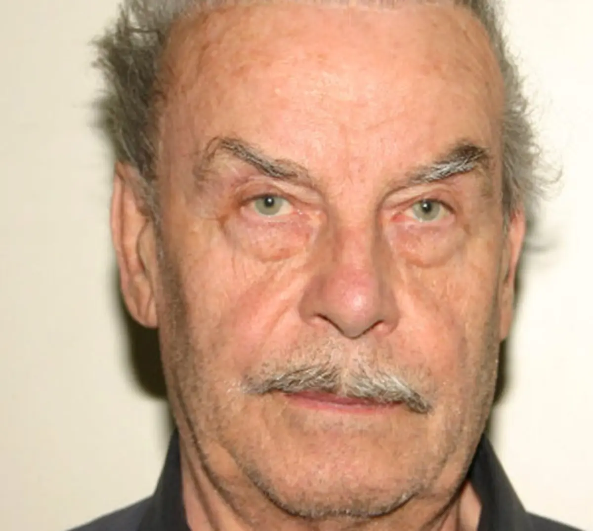 Fritzl manteve filha em cativeiro desde que esta tinha 18 anos