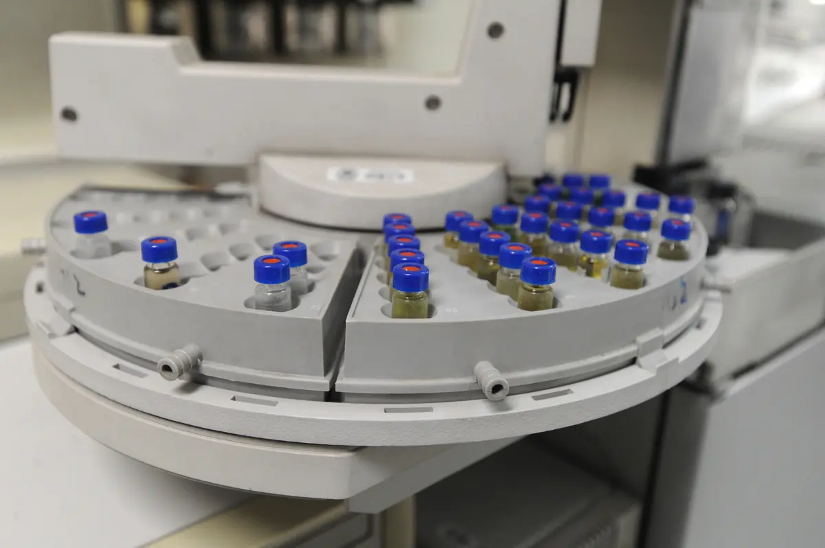 A perita garantiu que essas "substâncias nunca antes foram detetadas em mais lado nenhum em Portugal"
