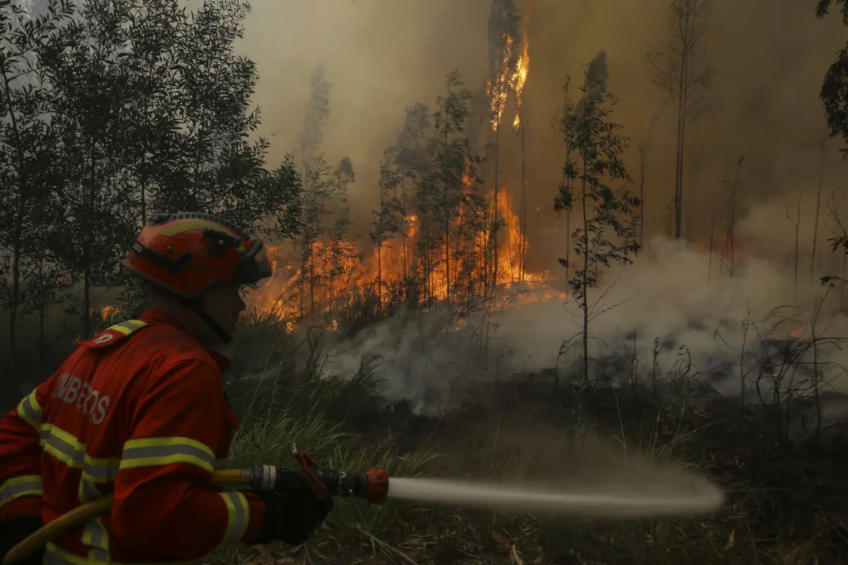 Mulher afirmou ainda desconhecer que era necessária uma autorização da autarquia para realizar uma fogueira naquela altura do ano
