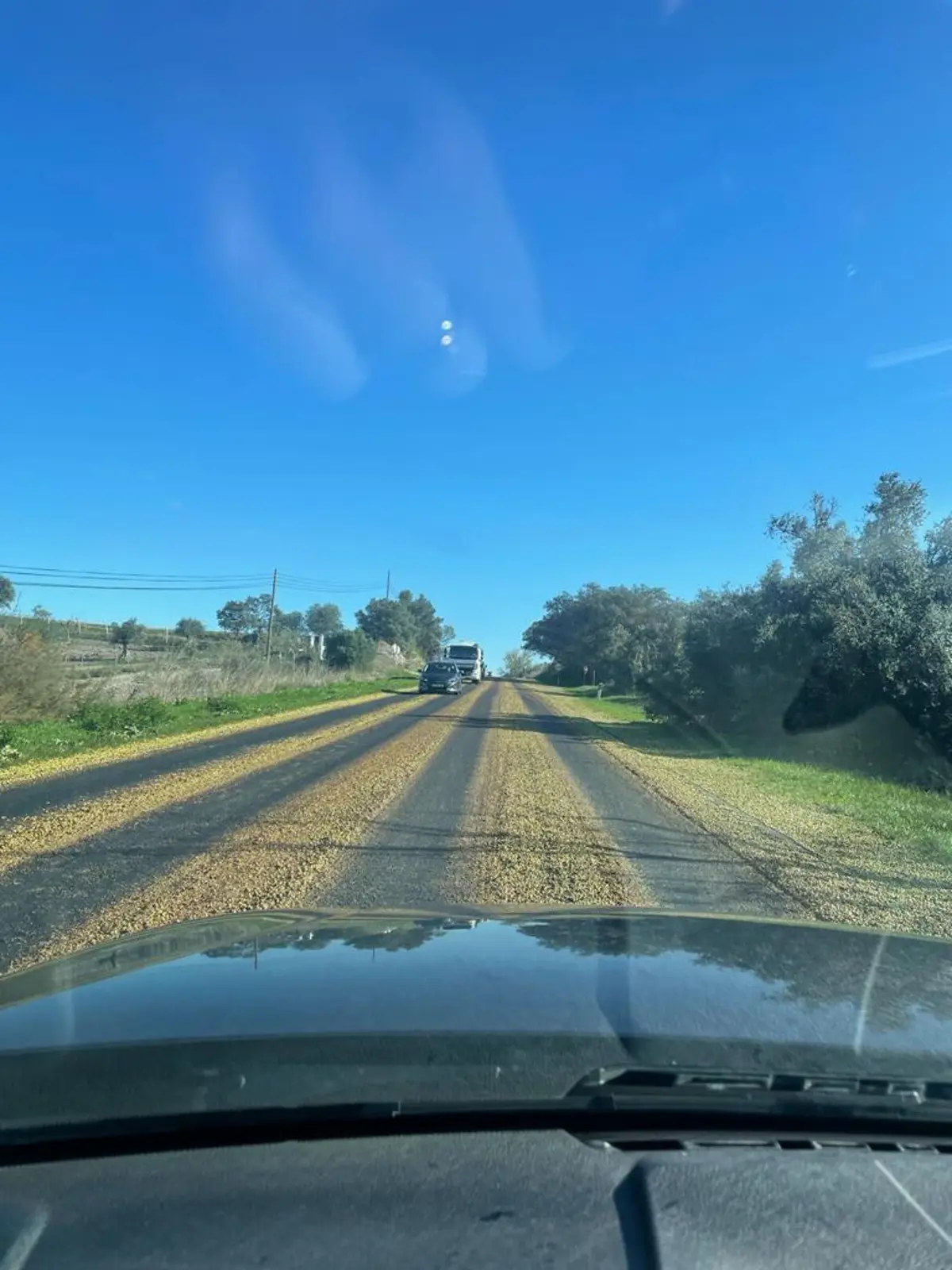 Nesta altura, há centenas de veículos a transportar azeitona e bagaço de azeitona