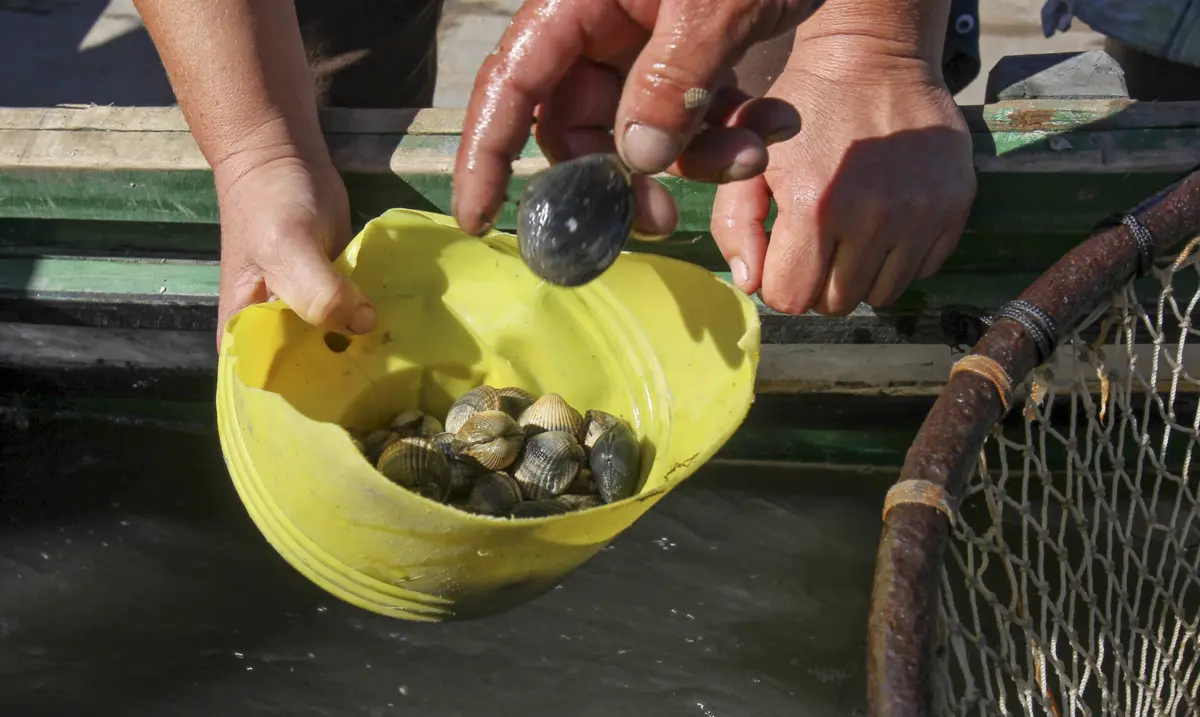 Produto apreendido tem um valor estimado de 16 310 euros