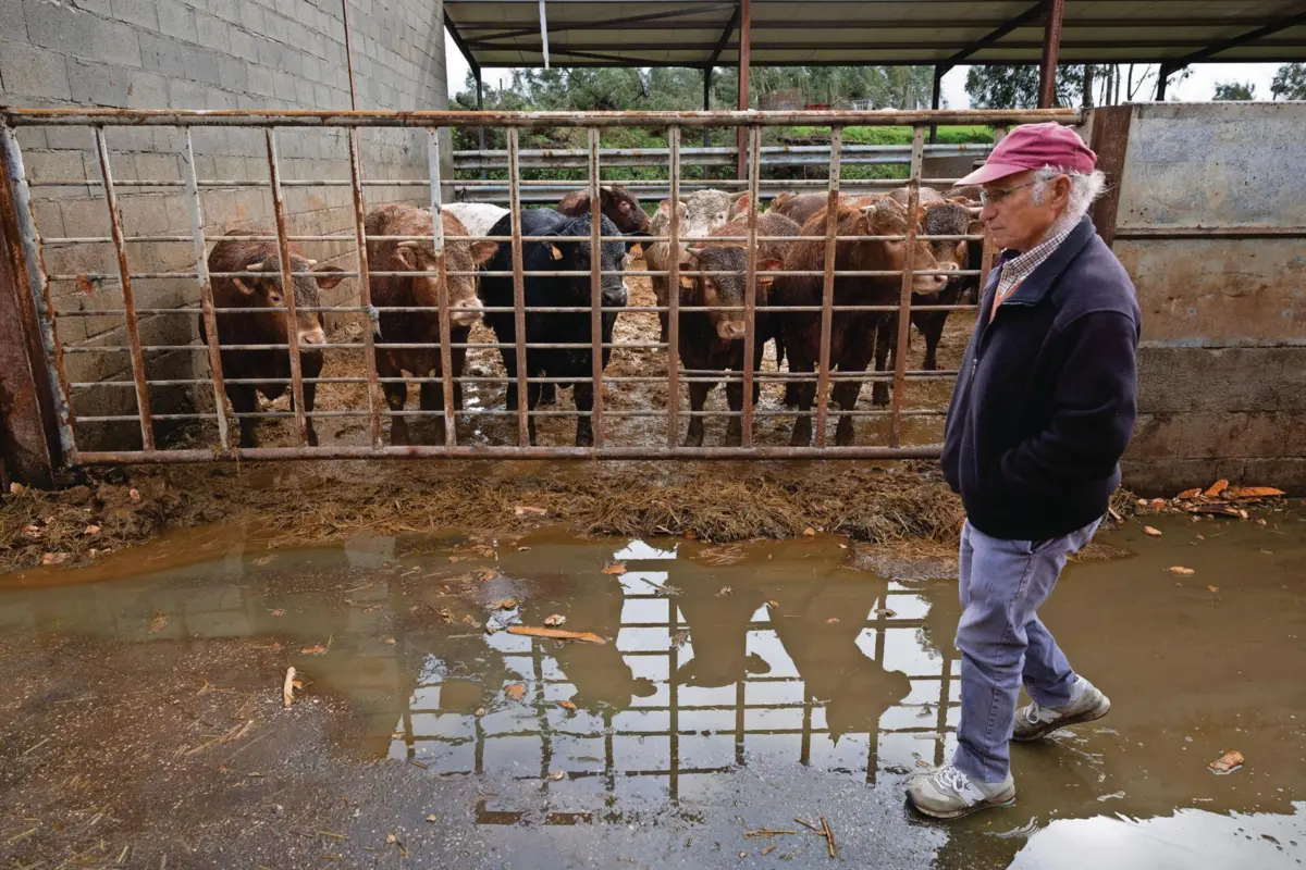 A tempestade derrubou a totalidade do telhado do estábulo de Américo Cardoso, com uma área de 800 metros quadrados