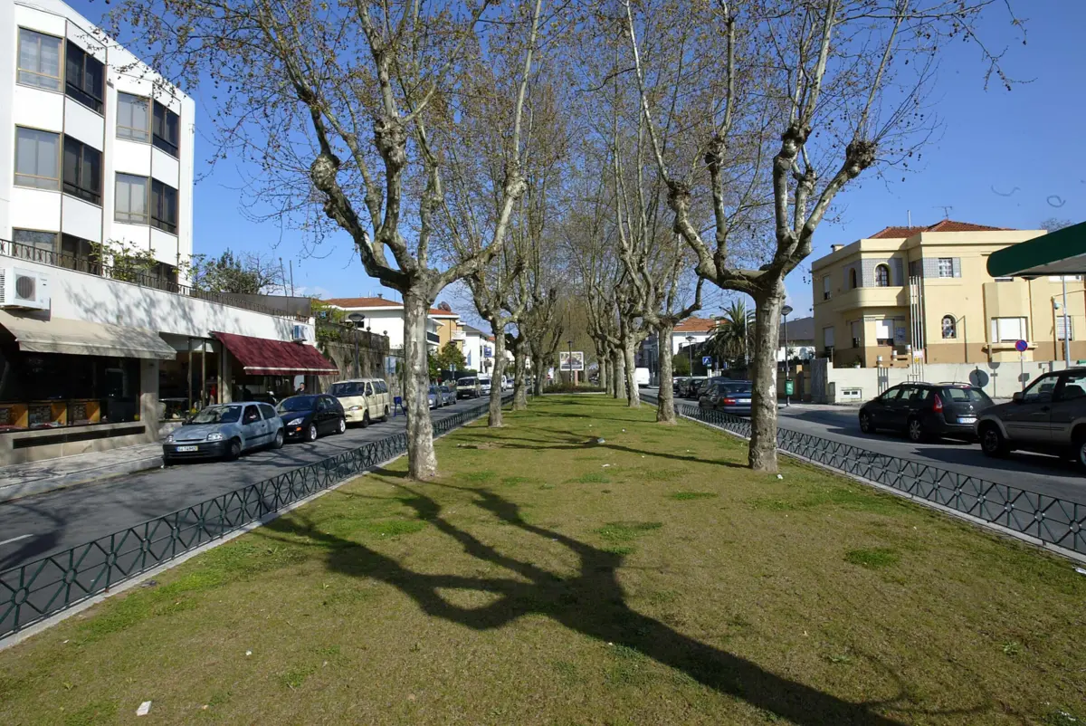 Suspeito foi detido na Avenida dos Combatentes, após ter assaltado uma mulher